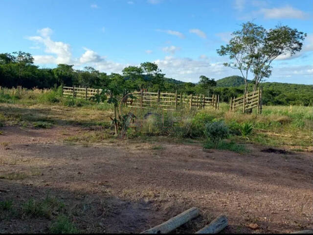 #5103 - Fazenda para Venda em Montes Claros - MG - 2