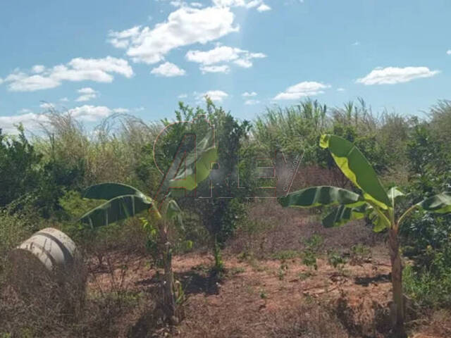 #5105 - Fazenda para Venda em Montes Claros - MG - 3