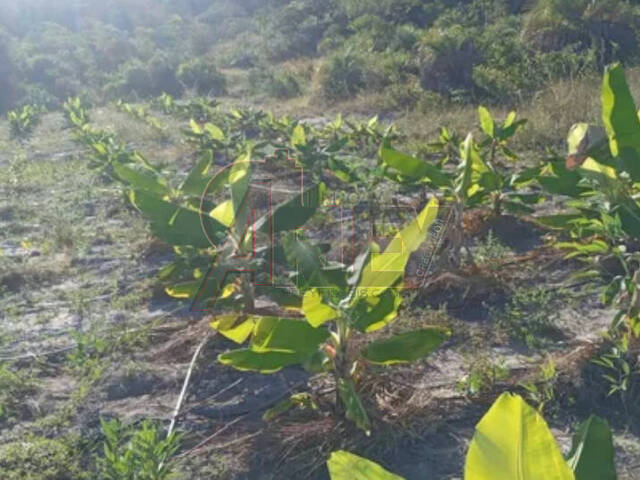 #5106 - Fazenda para Venda em Montes Claros - MG - 2