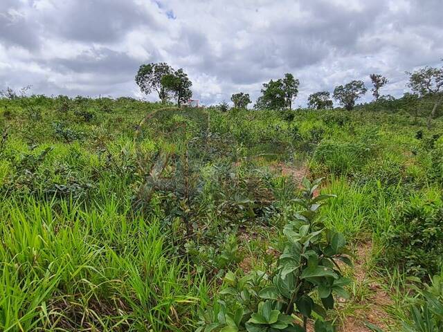 #5265 - Área para Venda em Montes Claros - MG - 3