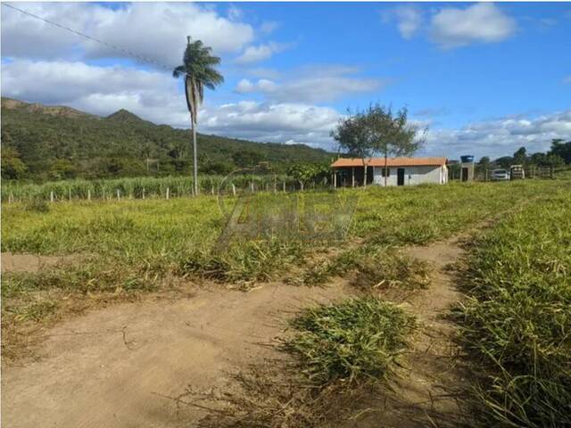 #5269 - Fazenda para Venda em Montes Claros - MG - 2