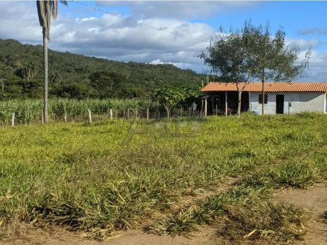 #5269 - Fazenda para Venda em Montes Claros - MG - 3