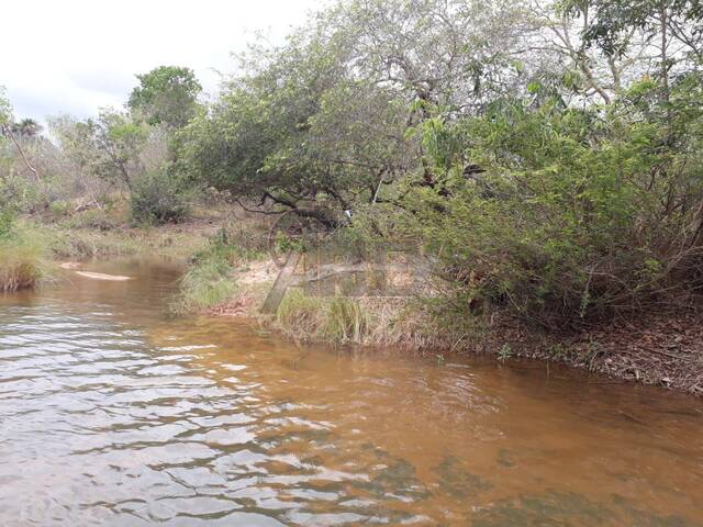 Venda em Área Rural do Norte de Minas - Montes Claros