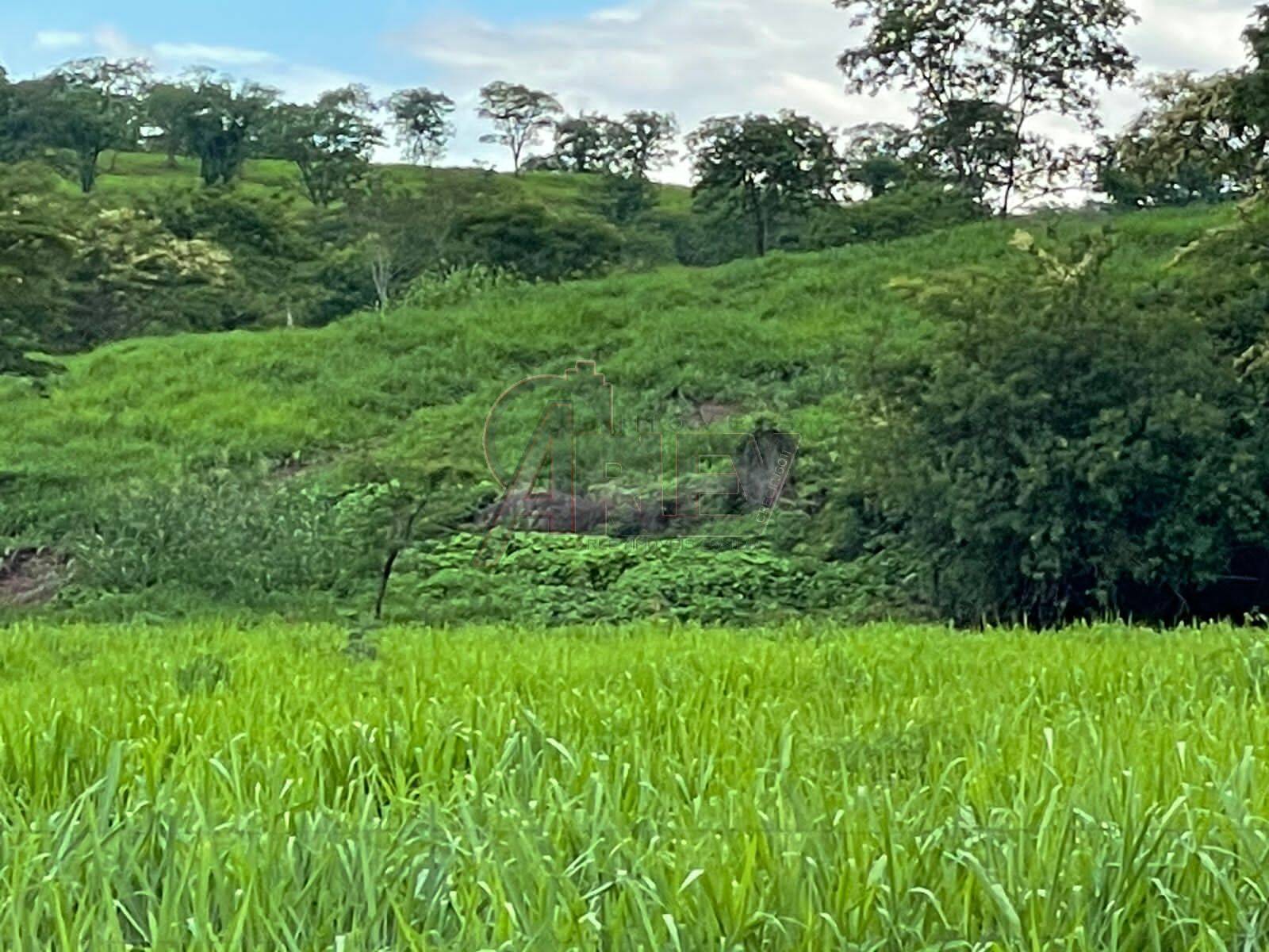 Fazenda à venda com 3 quartos, 56m² - Foto 5