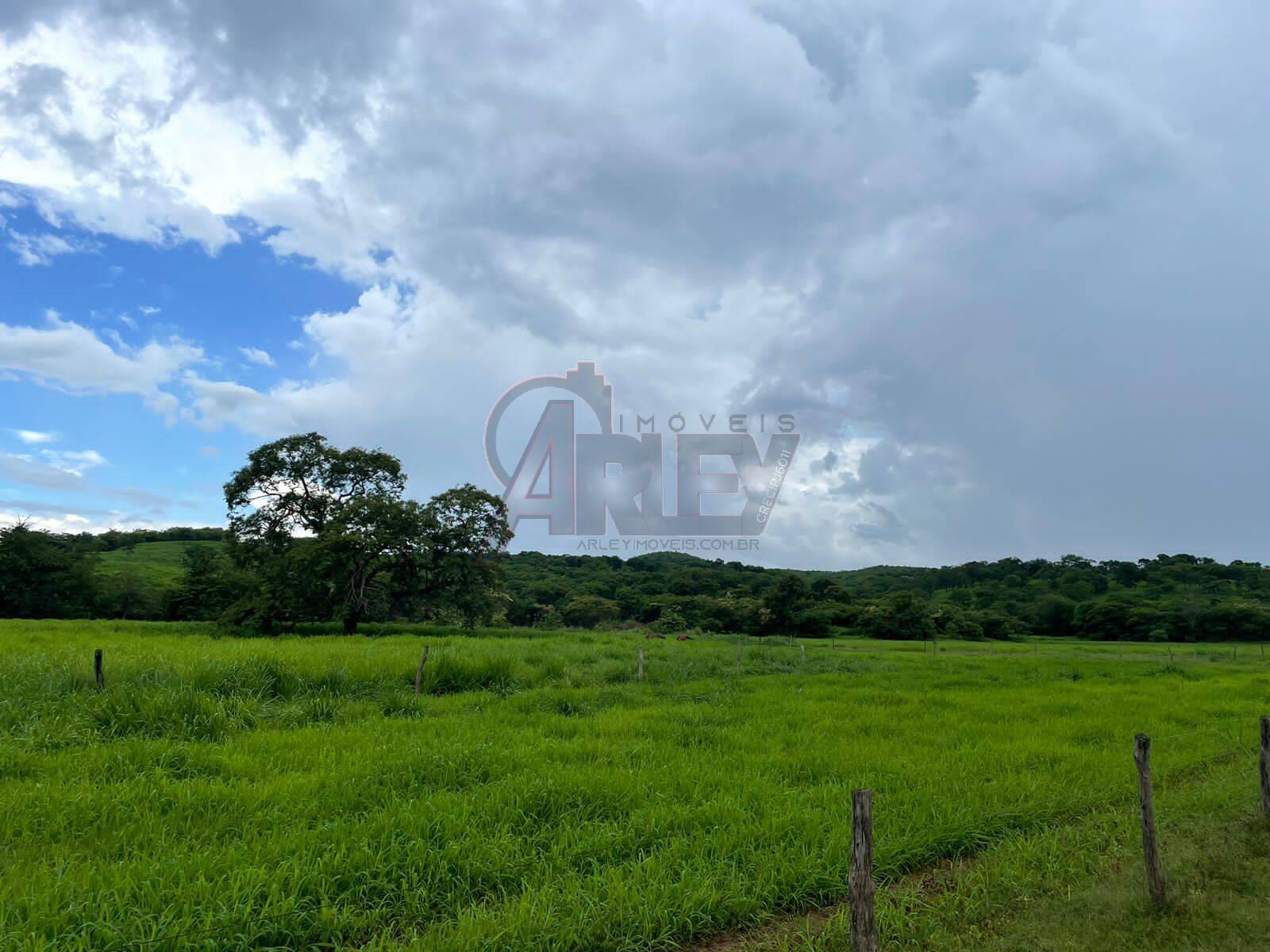 Fazenda à venda com 3 quartos, 56m² - Foto 8