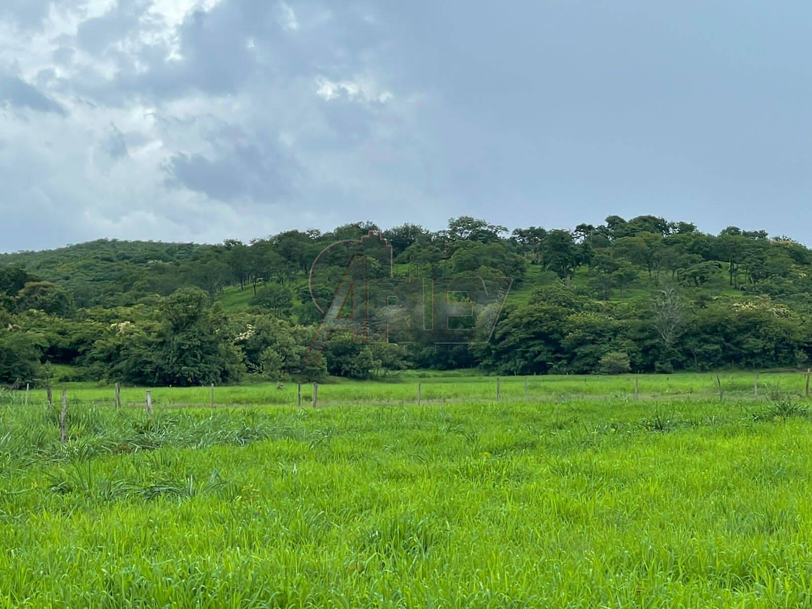 Fazenda à venda com 3 quartos, 56m² - Foto 12