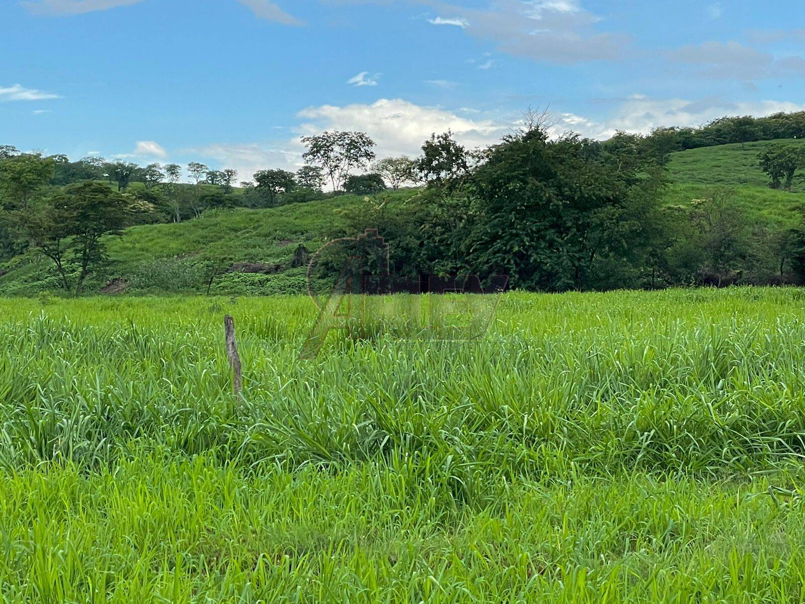 Fazenda à venda com 3 quartos, 56m² - Foto 14