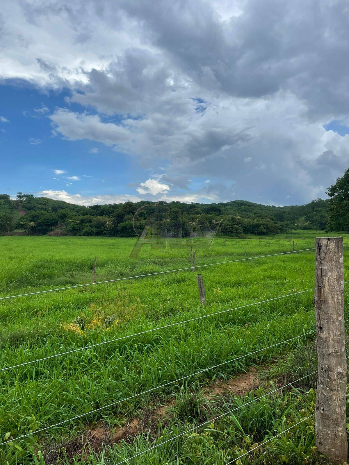 Fazenda à venda com 3 quartos, 56m² - Foto 17