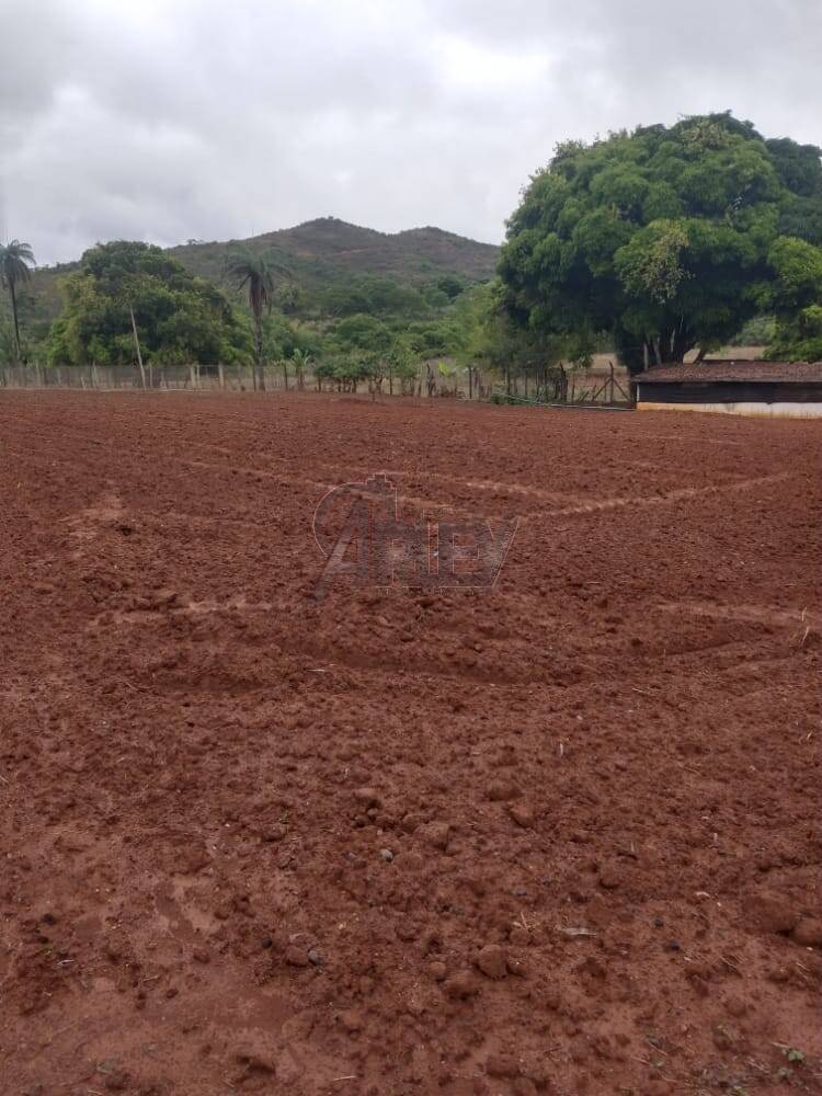 Fazenda à venda com 4 quartos, 21m² - Foto 6