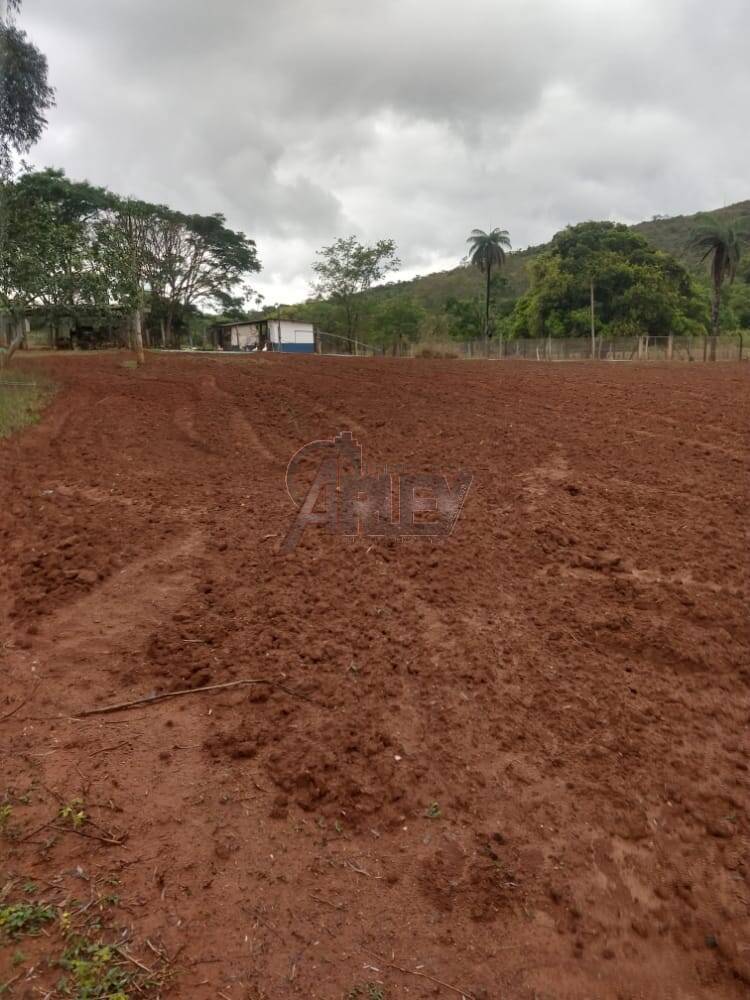 Fazenda à venda com 4 quartos, 21m² - Foto 7