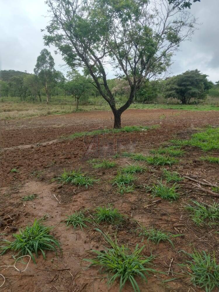 Fazenda à venda com 4 quartos, 21m² - Foto 8