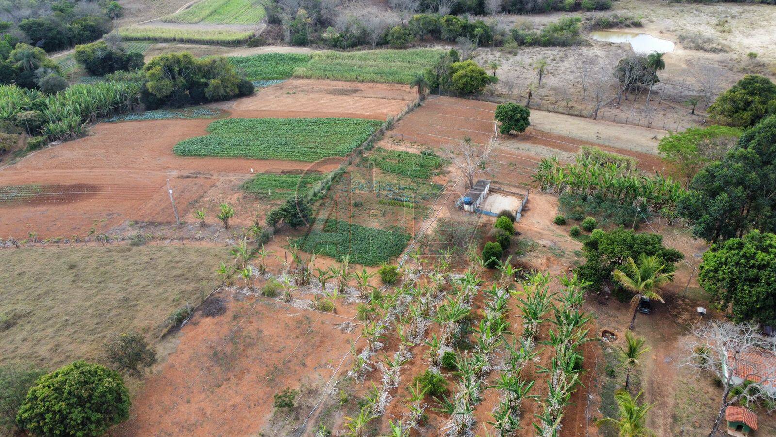 Fazenda à venda com 4 quartos, 21m² - Foto 9