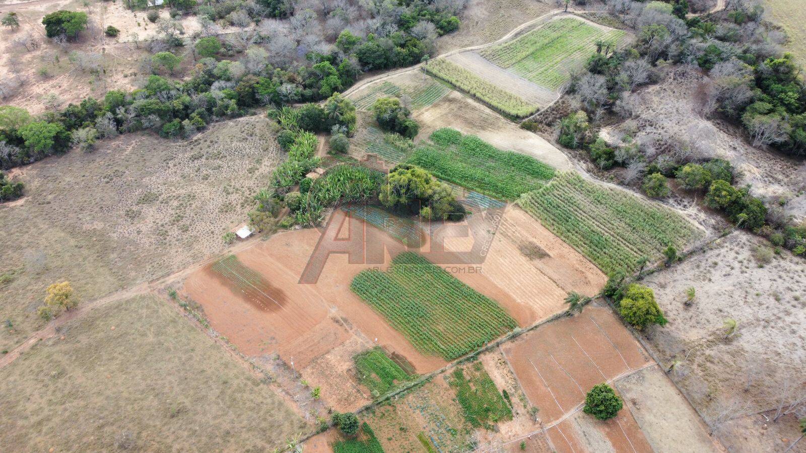 Fazenda à venda com 4 quartos, 21m² - Foto 12