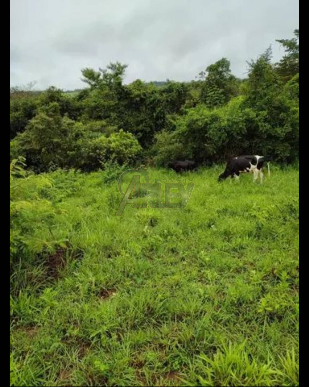 Terreno à venda - Foto 7