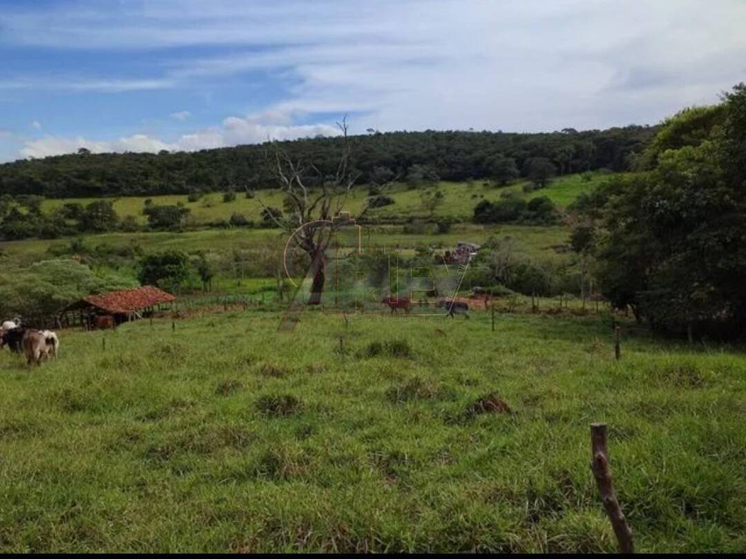 Terreno à venda - Foto 11