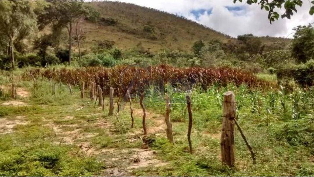 Terreno à venda - Foto 1