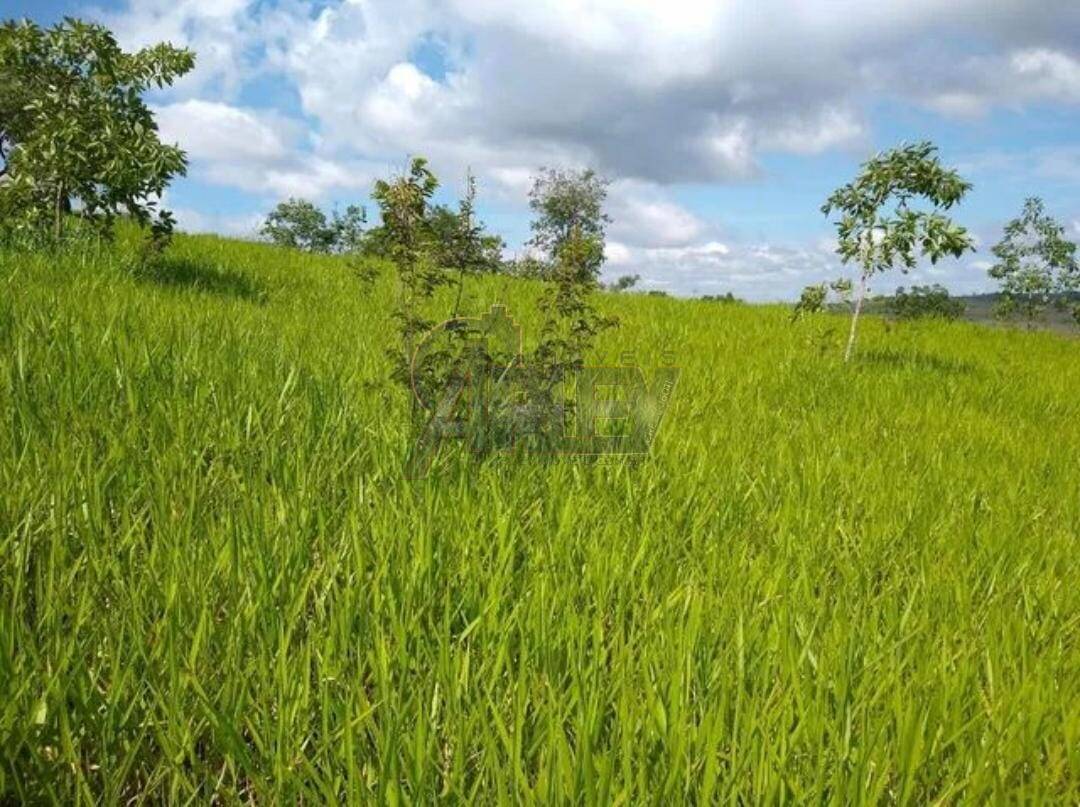 Terreno à venda - Foto 2