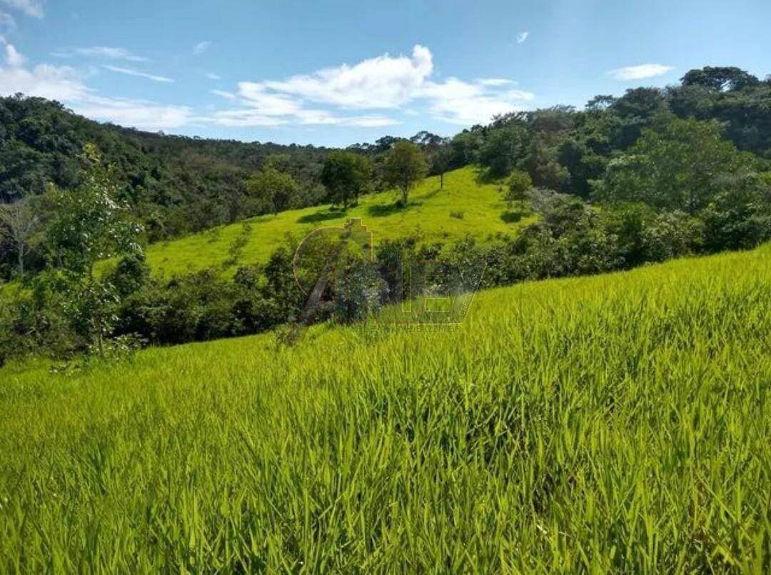 Terreno à venda - Foto 3