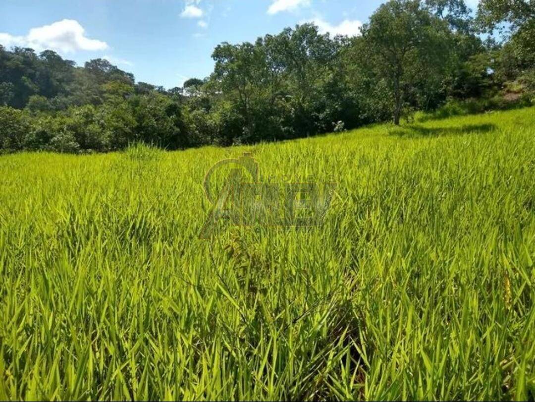 Terreno à venda - Foto 5