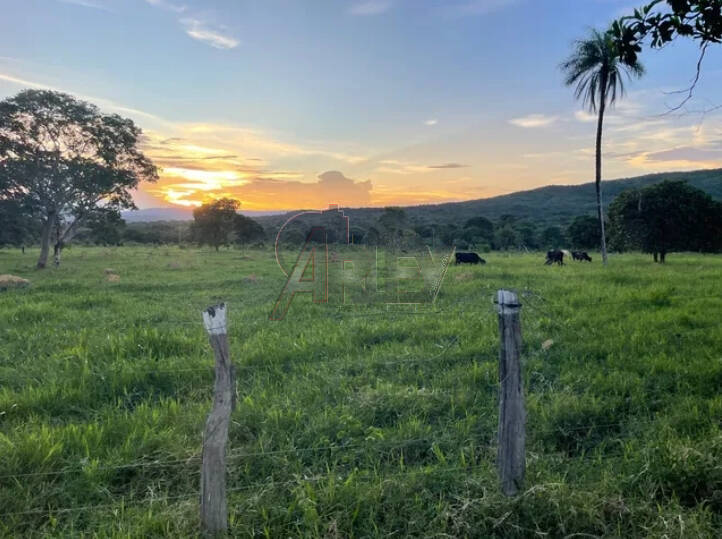 Terreno à venda - Foto 1