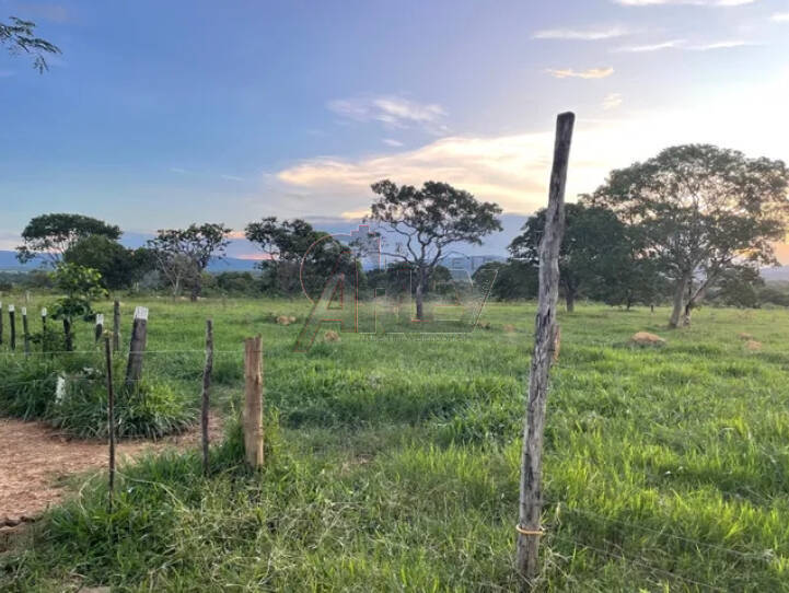 Terreno à venda - Foto 2