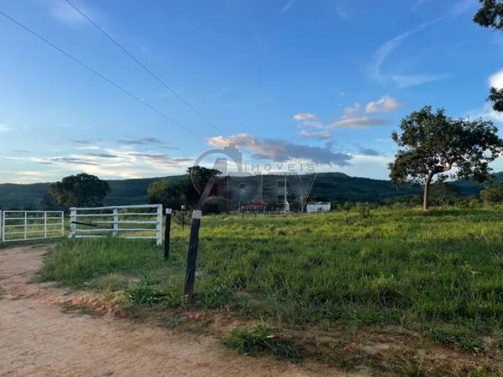 Terreno à venda - Foto 4