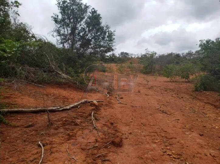 Terreno à venda - Foto 4