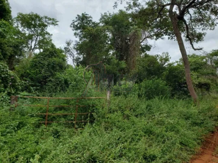 Terreno à venda - Foto 6