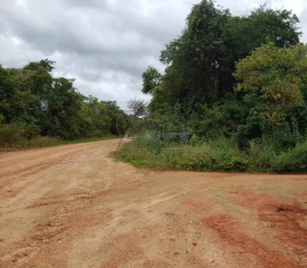 Terreno à venda - Foto 8