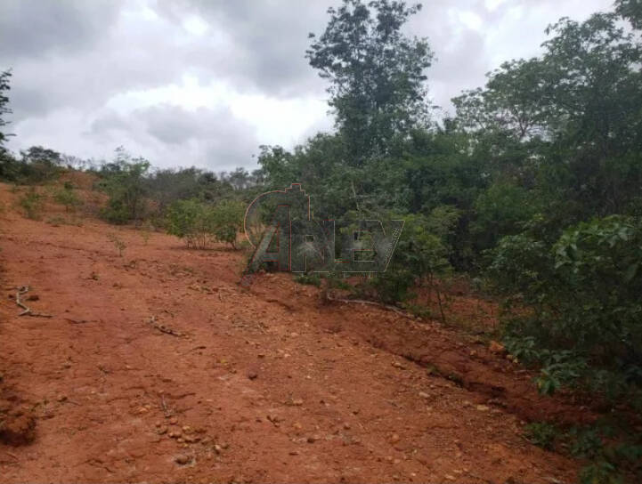 Terreno à venda - Foto 10