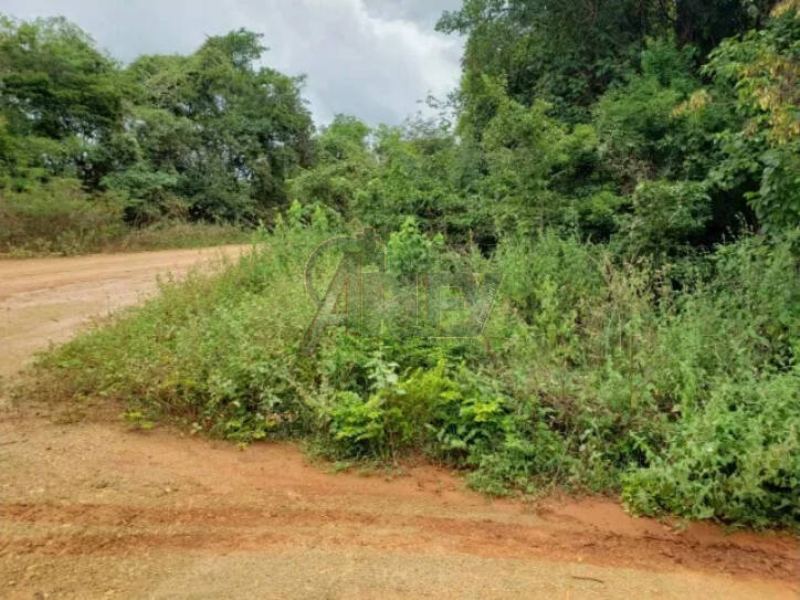 Terreno à venda - Foto 11