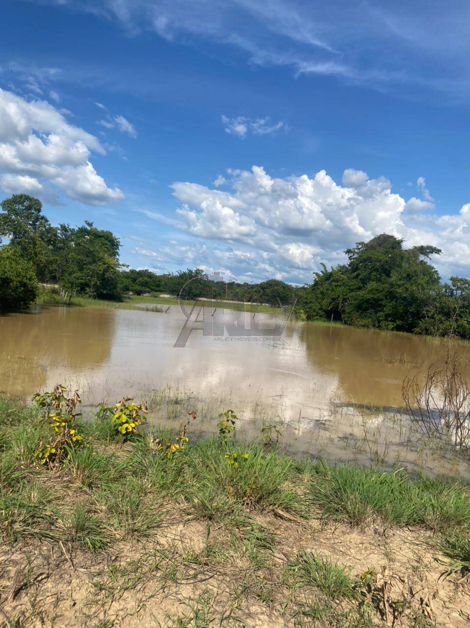 Fazenda à venda com 3 quartos - Foto 1