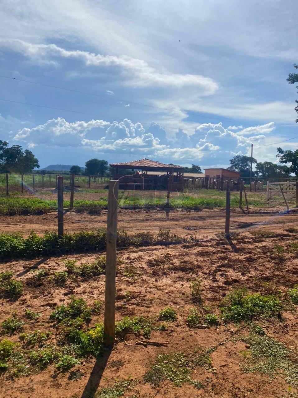 Fazenda à venda com 3 quartos - Foto 5