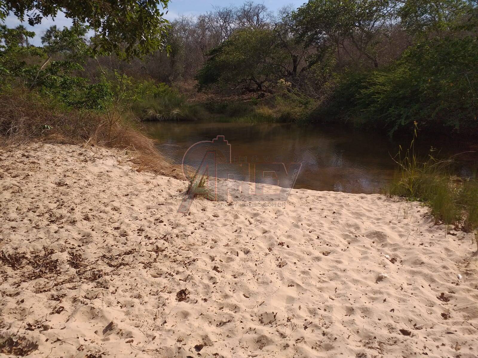 Fazenda à venda com 4 quartos - Foto 5