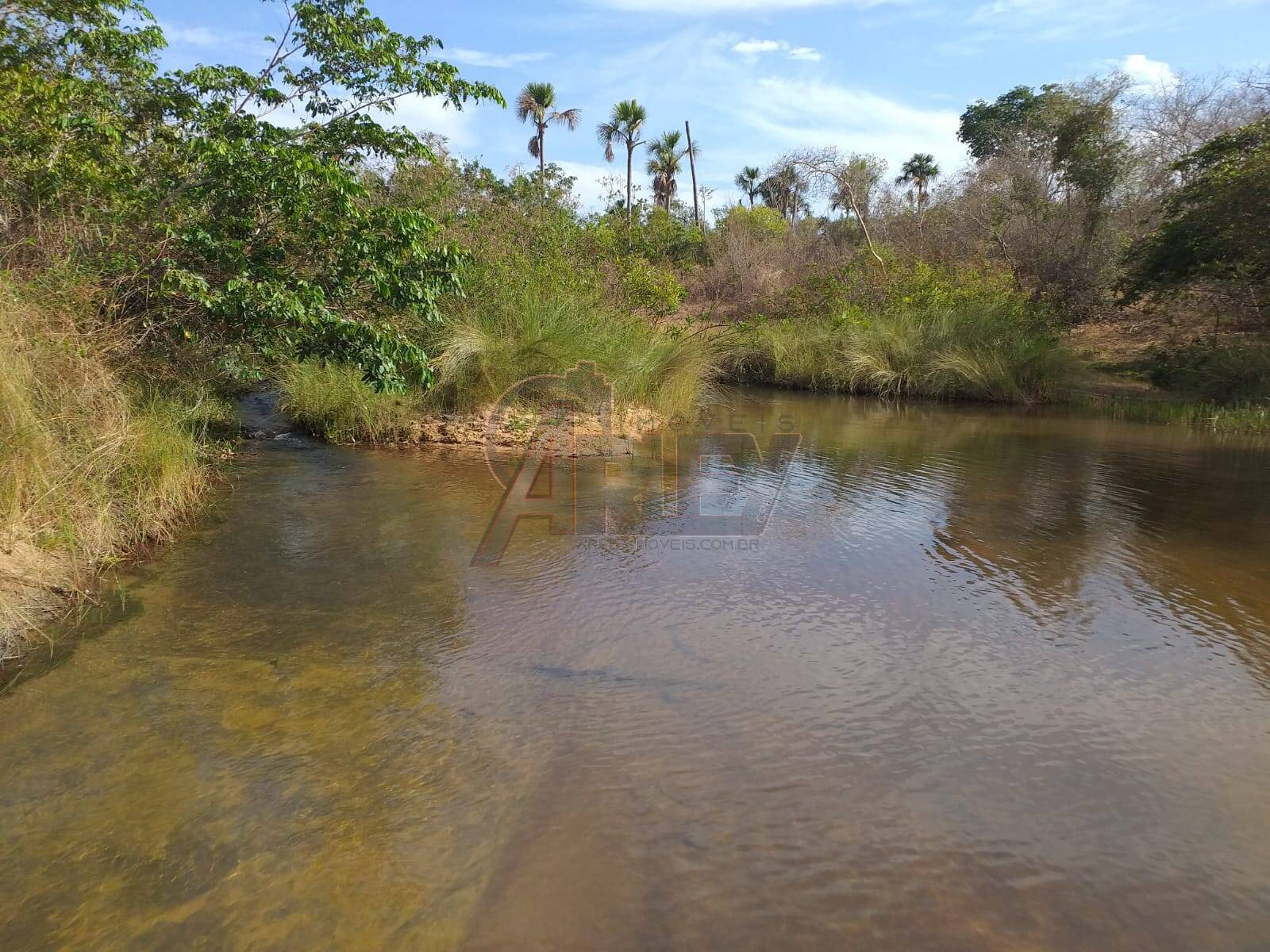 Fazenda à venda com 4 quartos - Foto 7