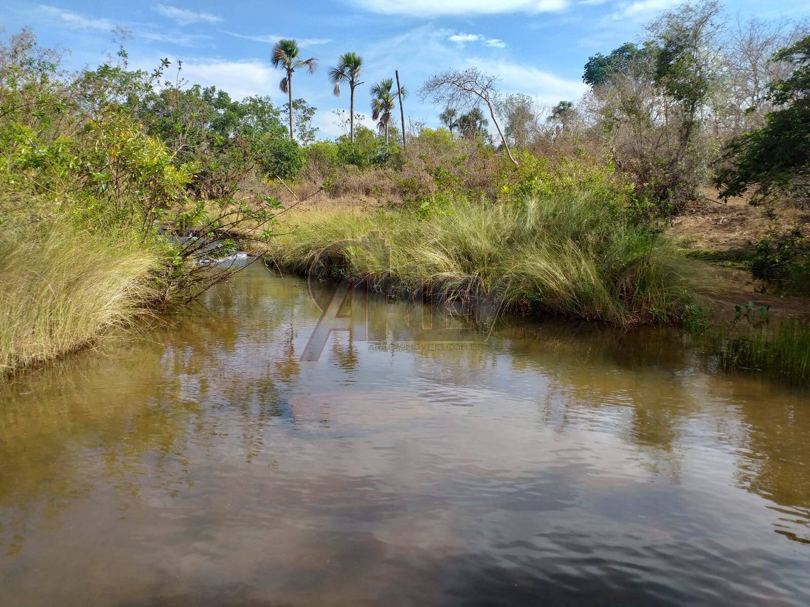 Fazenda à venda com 4 quartos - Foto 8