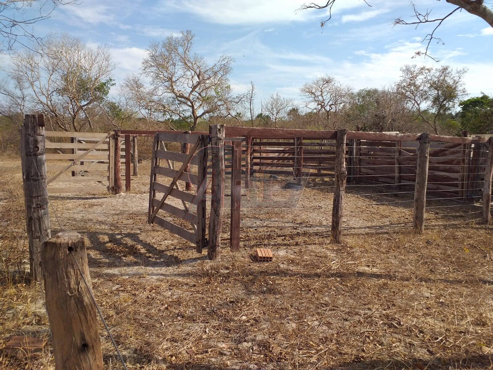 Fazenda à venda com 4 quartos - Foto 14