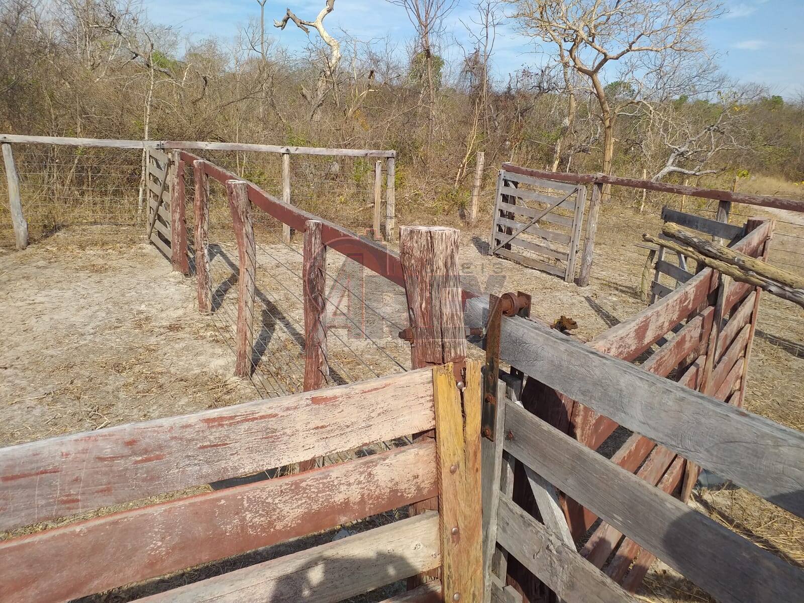 Fazenda à venda com 4 quartos - Foto 16