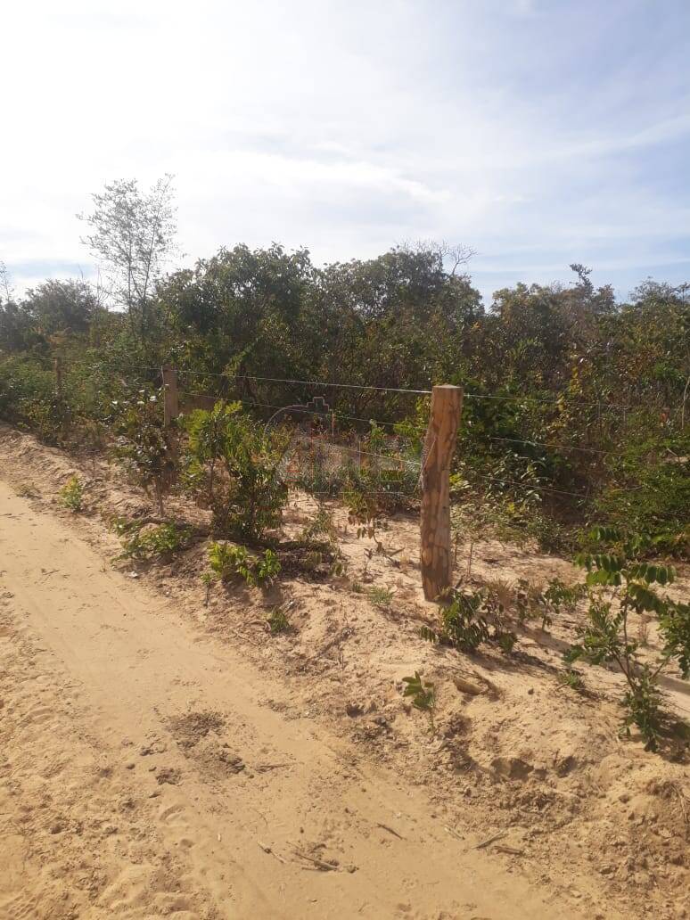 Terreno à venda - Foto 1