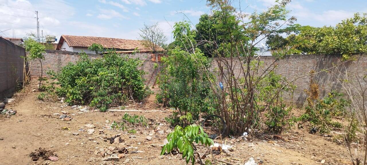 Terreno à venda, 300m² - Foto 3