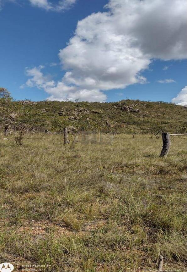 Terreno à venda - Foto 6