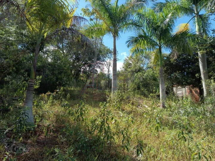 Terreno à venda com 3 quartos - Foto 8