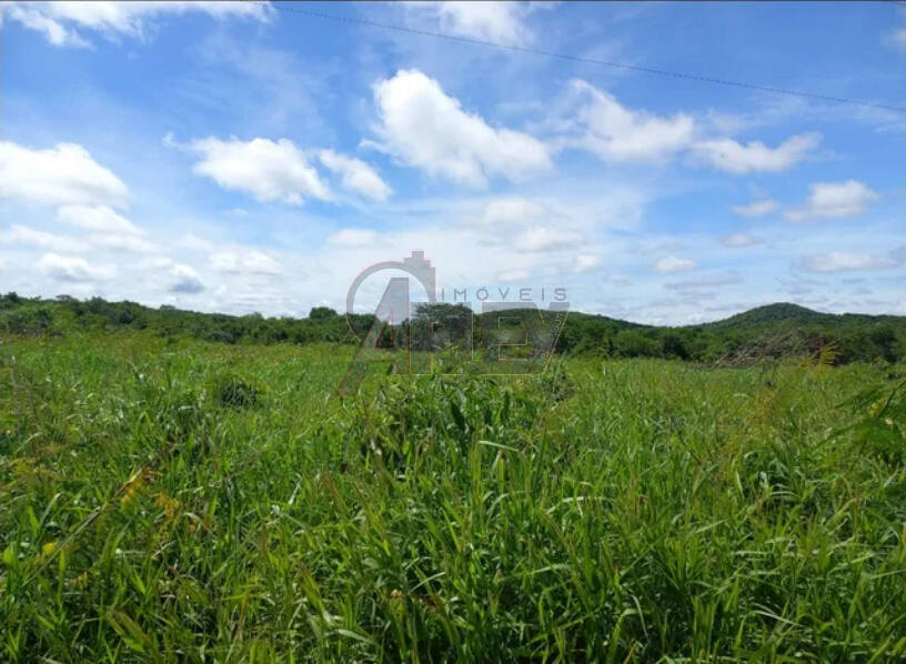 Fazenda à venda com 2 quartos - Foto 1