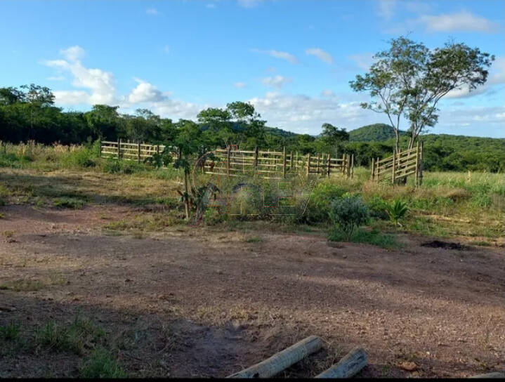 Fazenda à venda com 2 quartos - Foto 2