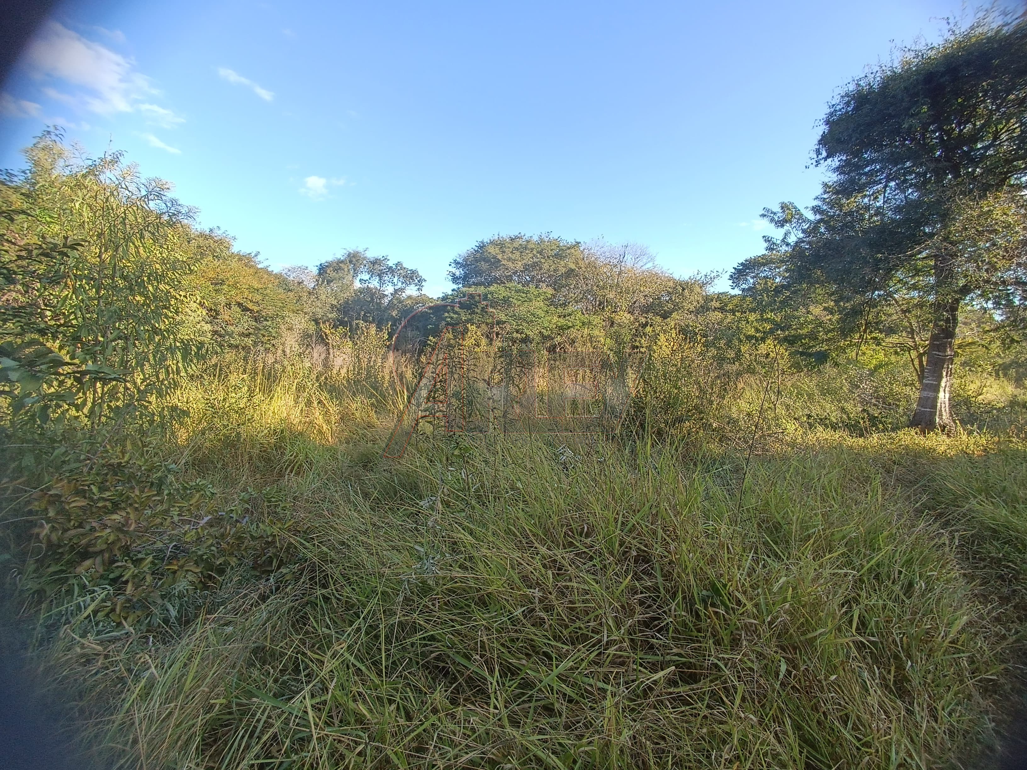 Fazenda à venda com 3 quartos - Foto 9