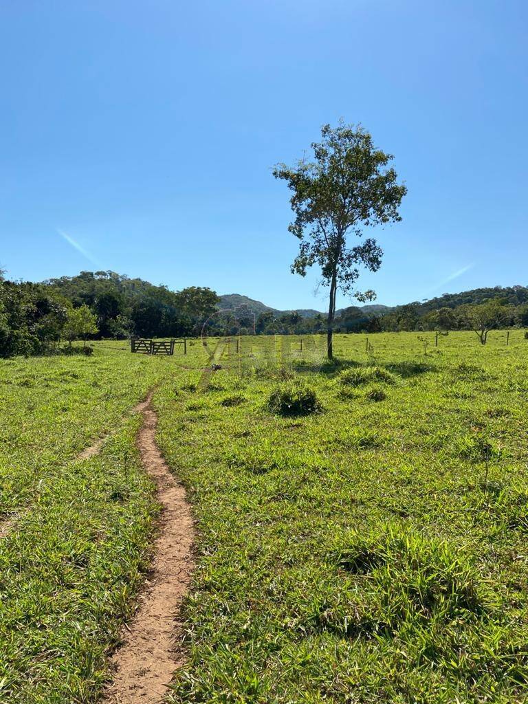 Terreno à venda, 2121770m² - Foto 1