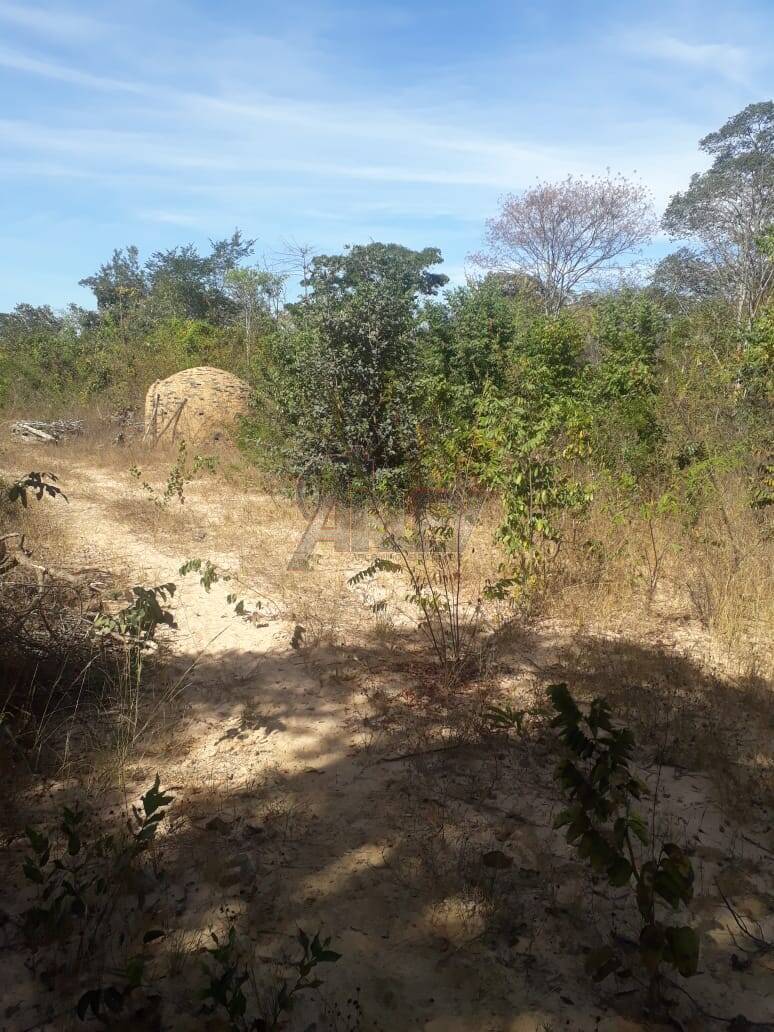 Fazenda à venda com 4 quartos - Foto 4