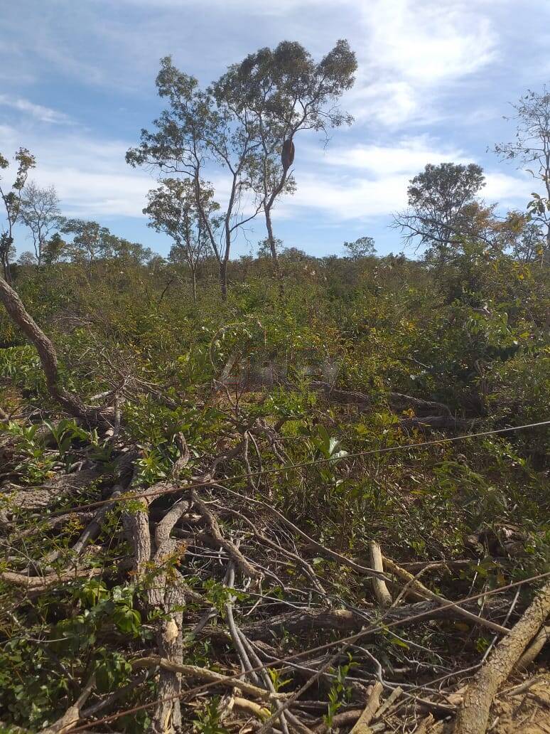 Fazenda à venda com 4 quartos - Foto 8