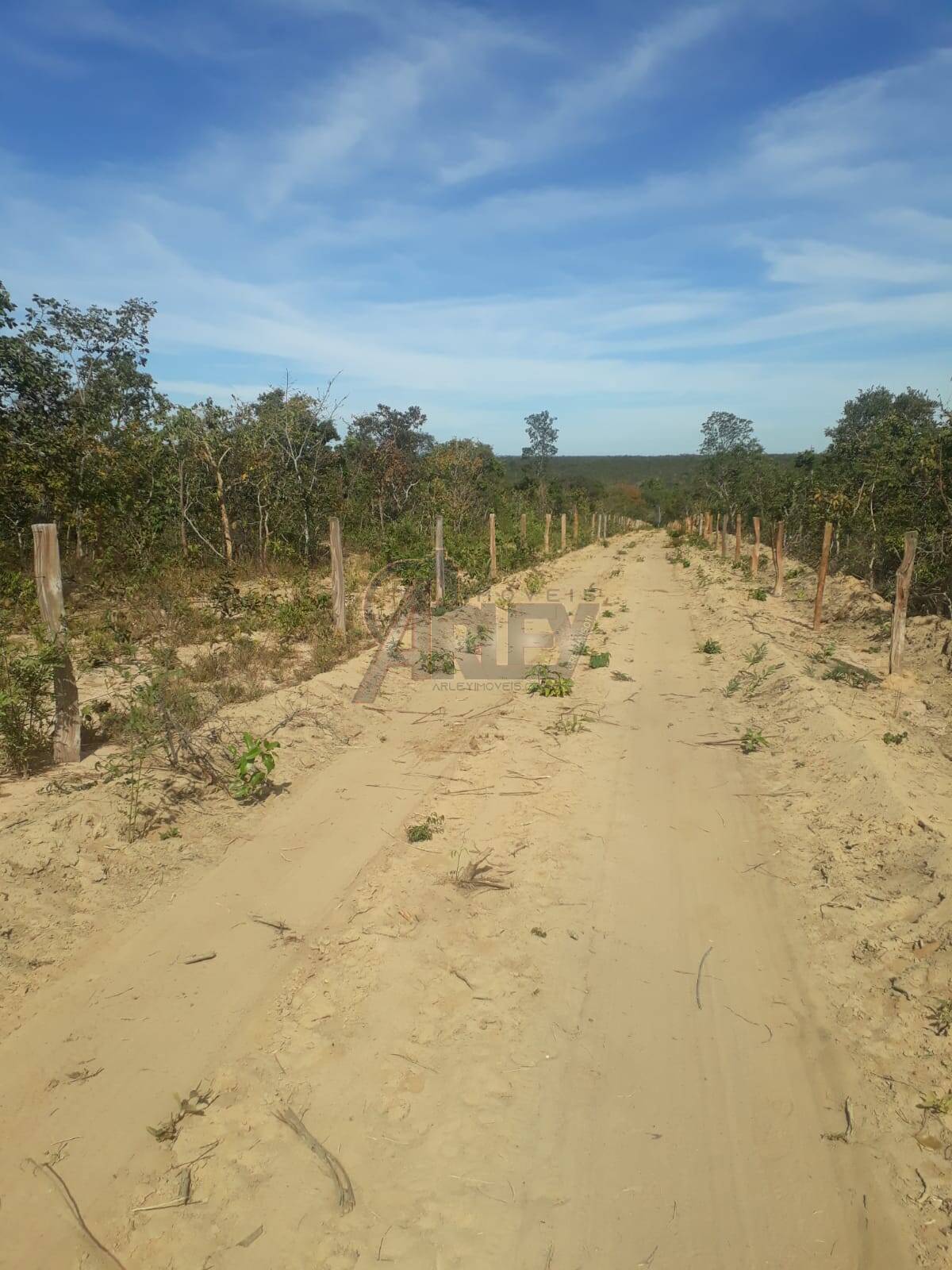 Fazenda à venda com 4 quartos - Foto 12