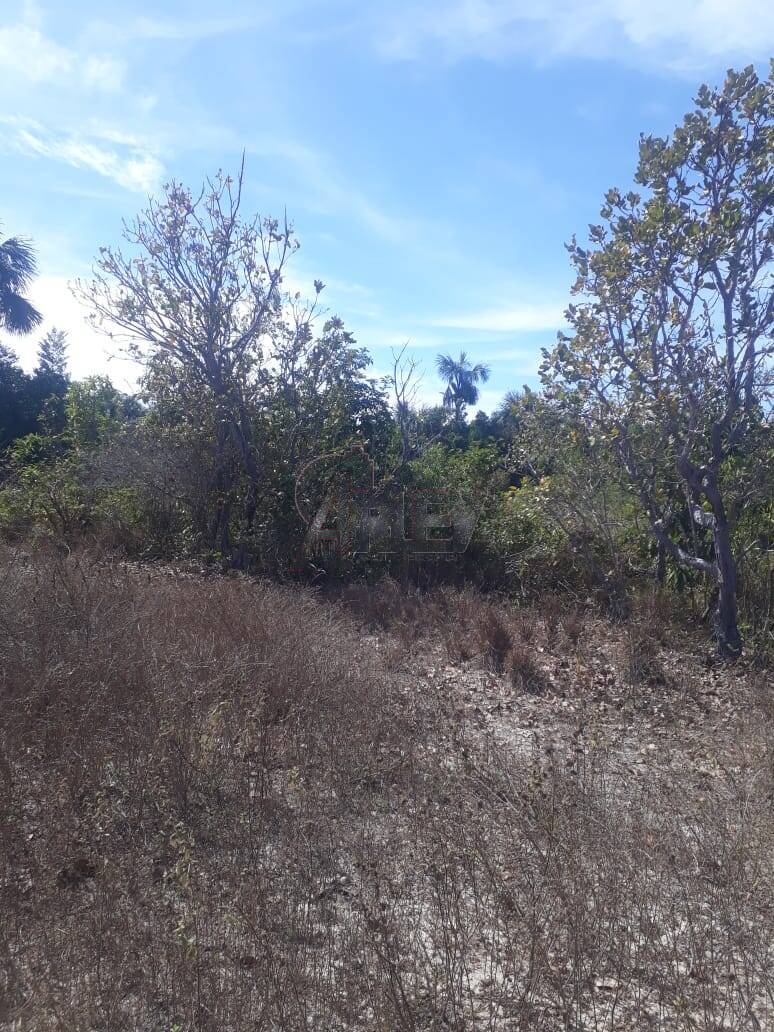 Fazenda à venda com 4 quartos - Foto 16